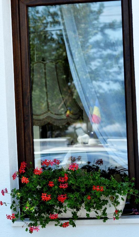 ホテル Casa Mora デヴァ エクステリア 写真